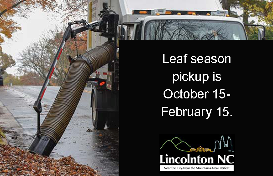 leaf season graphic